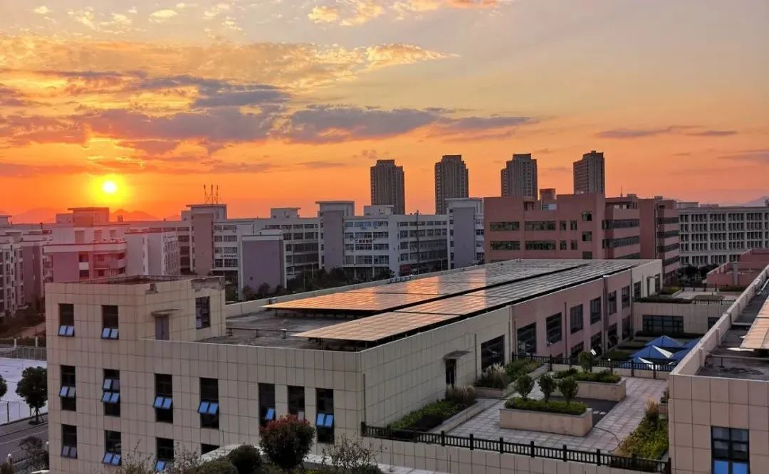 夕陽下的曼瑞德集團綠色建筑產業園光伏板